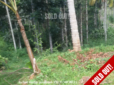 Residential land for sale at Meenangadi, Wayanad