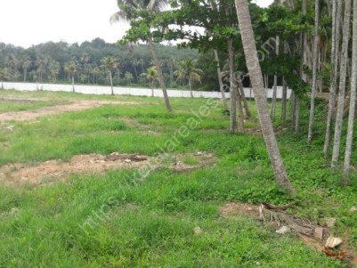 Plot for sale at  Kakkanad, Ernakulam