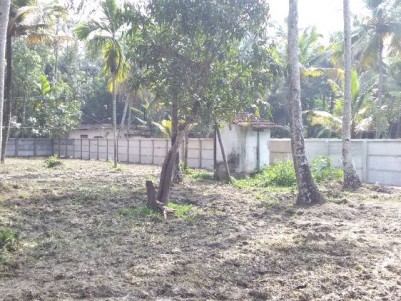 32 Cents of Residential land with old house for sale at Karunagappally,  Kollam