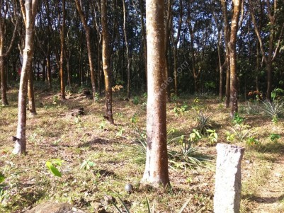  1.235 Acres of Prime Land for sale at Nedumangad, Trivandrum