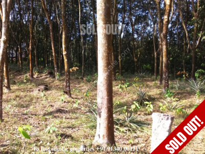  1.235 Acres of Prime Land for sale at Nedumangad, Trivandrum
