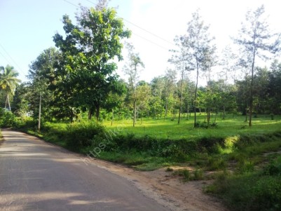 1 Acres of Residential Land for sale at Pulpally - Mananthavady Road, Wayanad