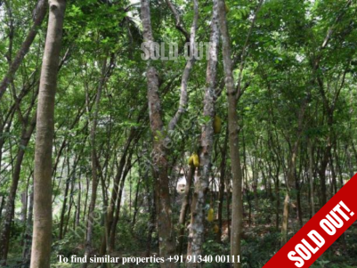  Residential Land For Sale at Puramattom, Pathanamthitta