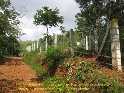 2.2 Acres of House plot for sale at Mananthavady, Wayanad