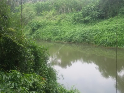 1 Acre Riverside farm land for sale at Kalpetta, Wayanad