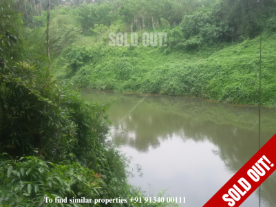 1 Acre Riverside farm land for sale at Kalpetta, Wayanad