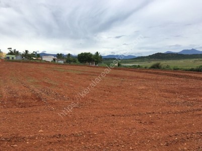 8 Acres of Bhavani water frontage land suitable for resorts for sale at Kallipatti,Tamil Nadu