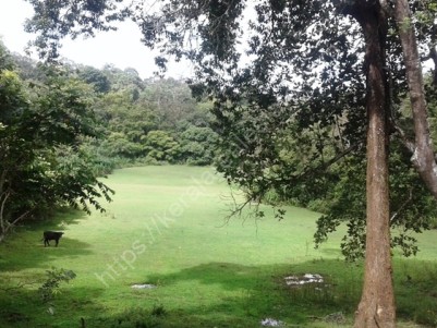 1.5 Acre of Forest Boundary Plot for sale at Kappikkunnu, Pulpally, Wayanad