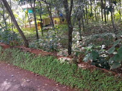 30 Cents of Residential land for sale Near Kizhakkambalam ( Chelakulam), Ernakulam