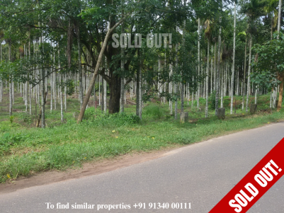 1 Acres of Arecanut Plantation for sale at Kalpetta, Wayanad