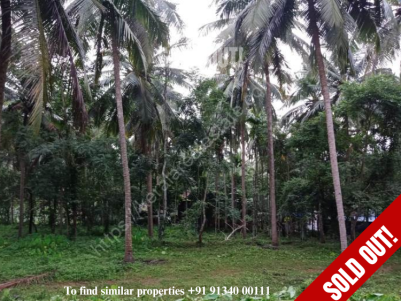 30 Cents of Residential land for sale at Perinthalmanna, Malappuram