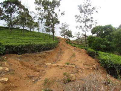 15 Acres of Agricultural land for sale at Vagamon, Idukki