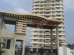 3 Bhk Semi & Fully furnished flats for sale