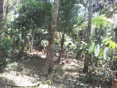25 Cents of Residential land for sale at Sultan Bathery, Wayanad.