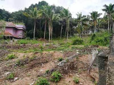 45 Cent  Residential Land for Sale at Near Vizhinjam, - Pallichal,Peringammala,Trivandrum