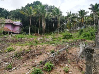 45 Cent  Residential Land for Sale at Near Vizhinjam, - Pallichal,Peringammala,Trivandrum