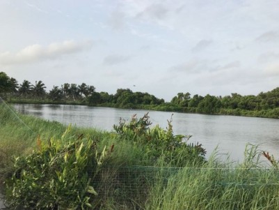 2.2 Acre Wetland for Sale at Thripunithara Thekkumbhagam, Ernakulam.