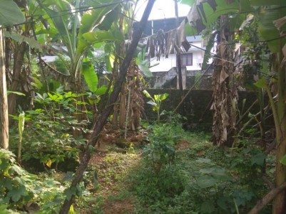 8 Cent Commercial cum Residential  Land For Sale at Ponkunnam, Kottayam.
