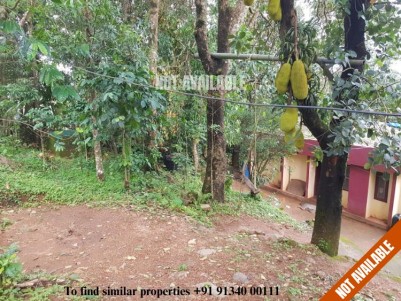 Residential Lands for sale at  Peerumedu,Idukki