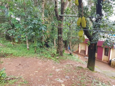 Residential Lands for sale at  Peerumedu,Idukki