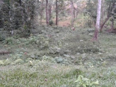 34 Cent Plot for Sale at Puramattom, Pathanamthitta.