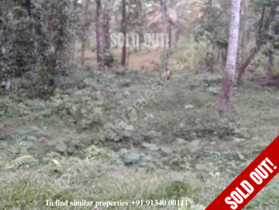 34 Cent Plot for Sale at Puramattom, Pathanamthitta.