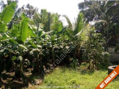 Plain Land for Sale at Kuttipuzha, Kunnukara, Ernakulam