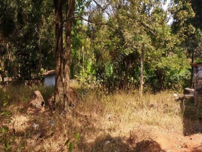 Residential Land For Sale at Irinjalakuda, Thrissur.