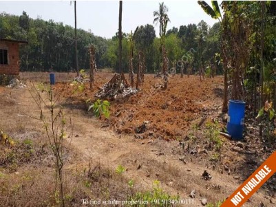 3.33 Acre Land for Sale at Kothamangalam.