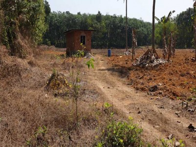 3.33 Acre Land for Sale at Kothamangalam.