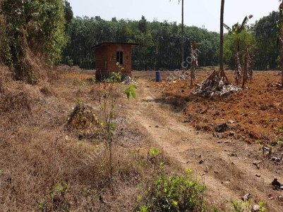 3.33 Acre Land for Sale at Kothamangalam.