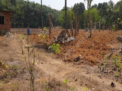3.33 Acre Land for Sale at Kothamangalam.