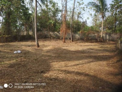 Residential Lands For Sale at Mannuthy, Thrissur.