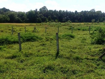6 Cents of Residential Plot for Sale at Palakkad