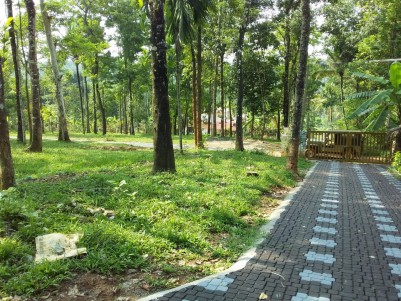 10 Cents House Plots for Sale at Kenichira, Wayanad
