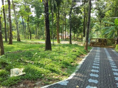 10 Cents House Plots for Sale at Kenichira, Wayanad