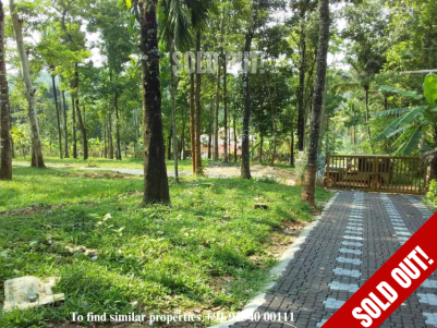 10 Cents House Plots for Sale at Kenichira, Wayanad