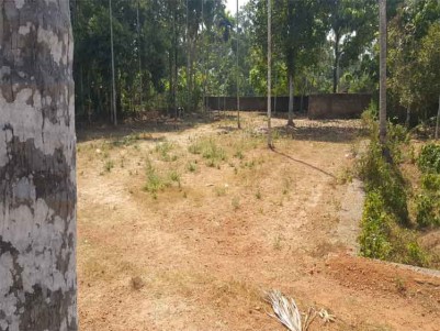 Residential Plot for Sale Near Mala Engineering College, Thrissur.