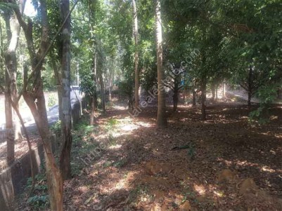 Residential Land for Sale at Elavoor.