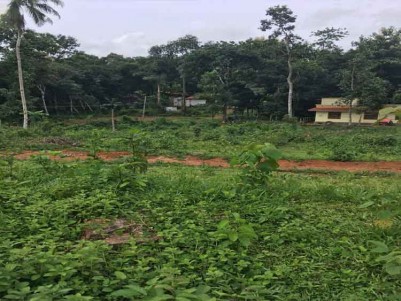 2 Acres of Land for Sale at Poomkavu, Vallicode, Pathanamthitta