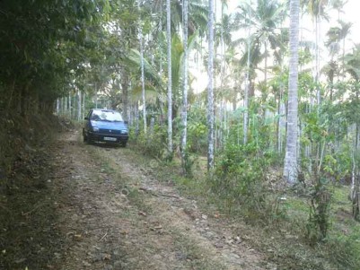 Farm House Plots for Sale at Irukanni, Near Kenichira, Wayanad 