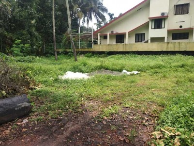 23 Cent good Residential Land for Sale at Thellakam, Kottayam