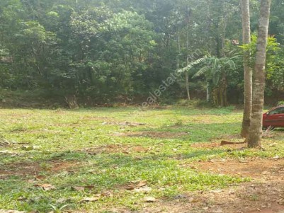 20 Cents of Residential Land for Sale at Kuravilangad - Thottuva, Kottayam.