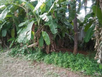 40 Acre Residential Land for Sale at Thrissur