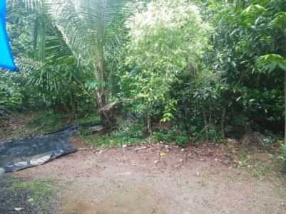 10 Cent Residential Land for Sale at Koratty, Thrissur