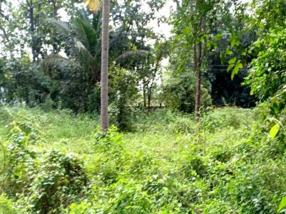 12 Cents of Residential Land for Sale at Elappully, Palakkad