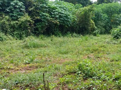 10 Cents of Residential plot for Sale at Manali, Palakkad