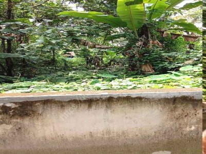 Residential Lands for Sale at  the Heart of Piravom.