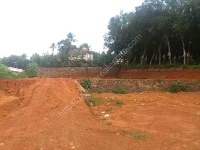 (Free Registration) Good Residential Land for Sale at Piravom, Ernakulam