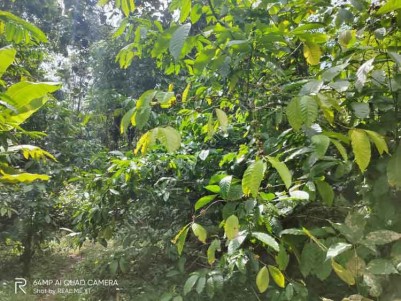 Land Suitable for Residential/Resort Construction for Sale Near Ramakkalmedu, Idukki.